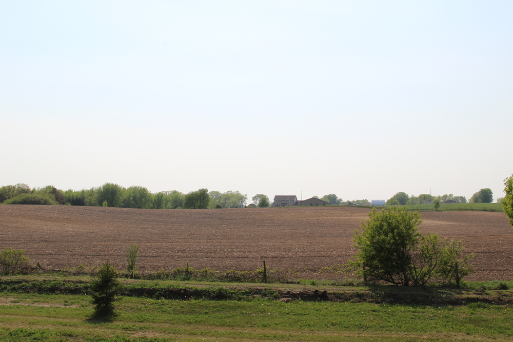 IMG_3237.JPG