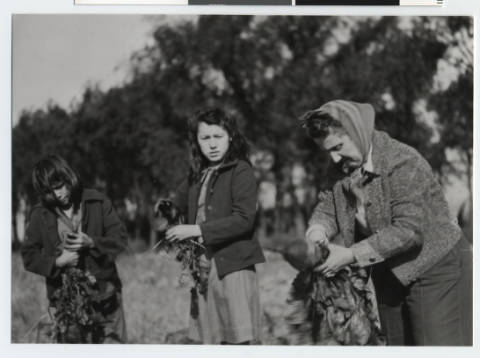 Pipestone_Indian_Training_School_garden_Pipestone_Minnesota-2.jpg Pipestone_Indian_Training_School_garden_Pipestone_Minnesota-2.jpg