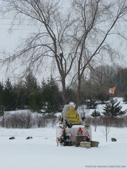 http://people.carleton.edu/~cborn/omeka/Watt_Munisotaram/WM_Surroundings4.jpg