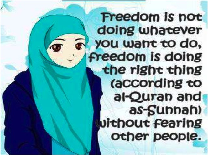 http://people.carleton.edu/~cborn/omeka/Somali_Muslim_Communities_of_Faribault/SMCF_Freedom.jpg