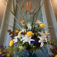 Flower Display