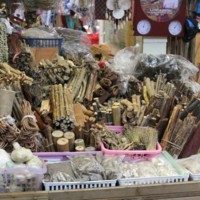Hmong Herbal Medicines