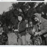 Pipestone_Indian_Training_School_garden_Pipestone_Minnesota-2.jpg