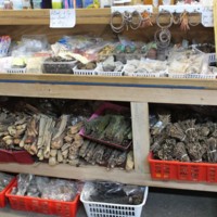 Hmong Herbal Medicines