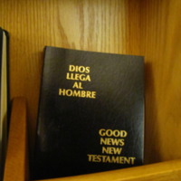 http://people.carleton.edu/~cborn/omeka/Chaplaincy/C_EweChapelBible.jpg