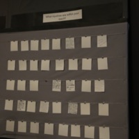 Injustice Wall
