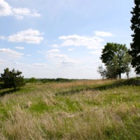 Panorama View of the Temple