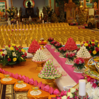 WM_1000BuddhasForVisakhaPuja2016.jpg