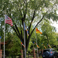 Nationalism Displayed