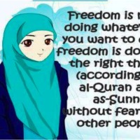 http://people.carleton.edu/~cborn/omeka/Somali_Muslim_Communities_of_Faribault/SMCF_Freedom.jpg