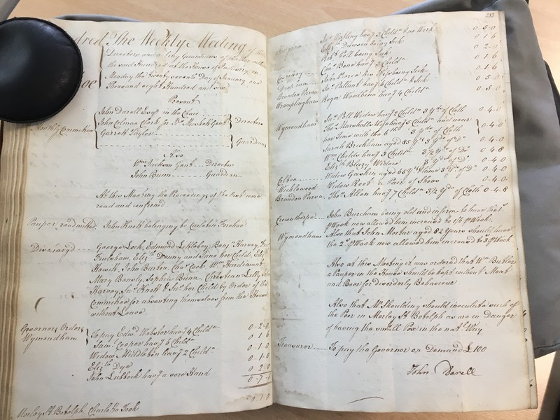 Forehoe Hundred - House of Industry Minute Book 1805-1807 p232-233 image 1