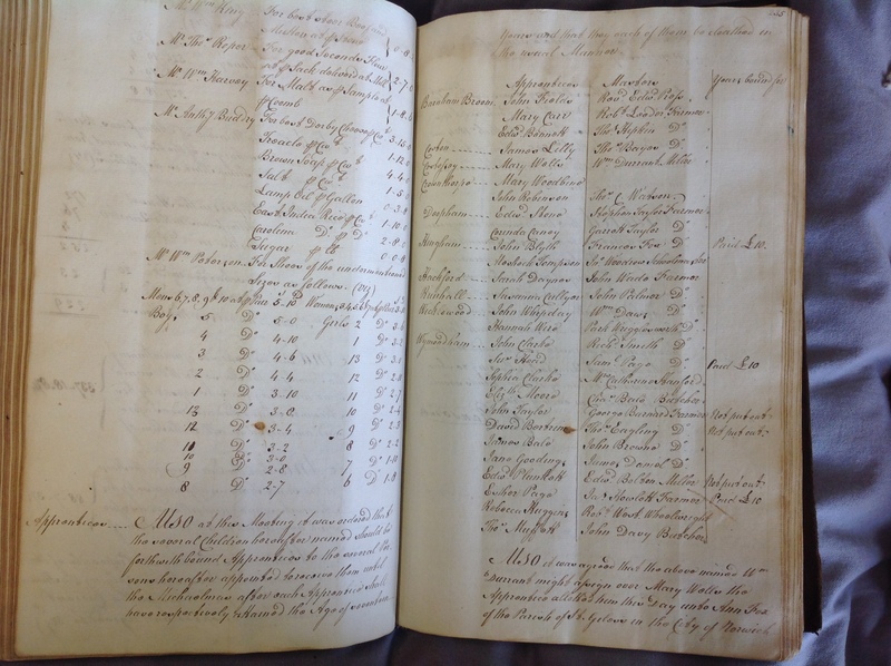 Forehoe Hundred - House of Industry Minute Book 1802-1805 p234-235 image 1 Forehoe Hundred - House of Industry Minute Book 1802-1805 p234-235 image 1