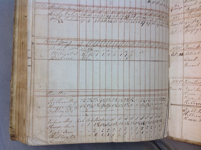 Forehoe Hundred - House of Industry Spinning Book 1805-1809 p235 image 3