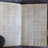 Forehoe Hundred - House of Industry Minute Book 1802-1805 p42-43 image 1