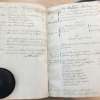 Forehoe Hundred - House of Industry Minute Book 1805-1807 p294-295 image 1