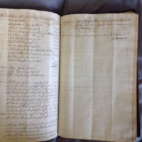 Forehoe Hundred - House of Industry Minute Book 1802-1805 p262-263 image 1