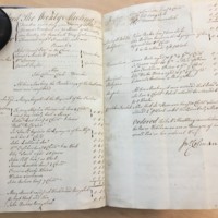 Forehoe Hundred - House of Industry Minute Book 1805-1807 p230-231 image 1