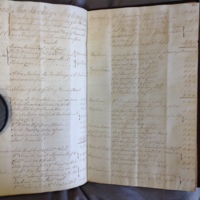 Forehoe Hundred - House of Industry Minute Book 1802-1805 p462-463 image 1
