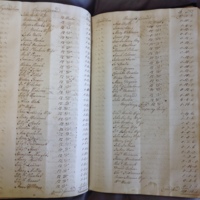 Forehoe Hundred - House of Industry Minute Book 1802-1805 p272-273 image 1