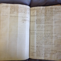 Forehoe Hundred - House of Industry Minute Book 1802-1805 p294-295 image 1