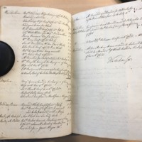 Forehoe Hundred - House of Industry Minute Book 1807-1809 p232-233 image 1