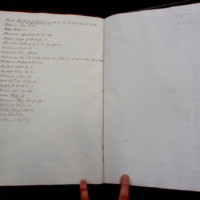 St Andrew Undershaft - Workhouse Minute Book 1822-1828 Index np[xxiii-xxiv] image 1