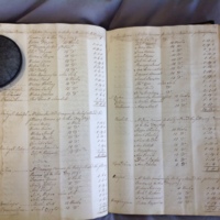 Forehoe Hundred - House of Industry Minute Book 1802-1805 p174-175 image 1