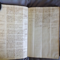 Forehoe Hundred - House of Industry Minute Book 1802-1805 p86-87 image 1