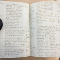 Forehoe Hundred - House of Industry Minute Book 1805-1807 p490-491 image 1