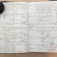 Forehoe Hundred - House of Industry Minute Book 1805-1807 p46-47 image 1