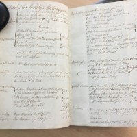 Forehoe Hundred - House of Industry Minute Book 1805-1807 p388-389 image 1