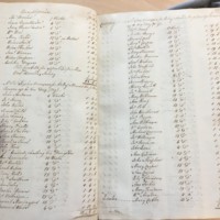 Forehoe Hundred - House of Industry Minute Book 1805-1807 p196-197 image 1