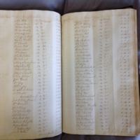 Forehoe Hundred - House of Industry Minute Book 1802-1805 p218-219 image 1